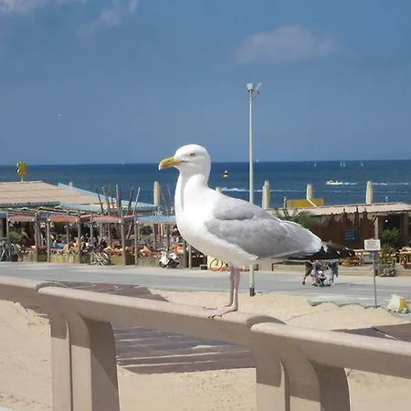 Holiday Parel Aan Zee *